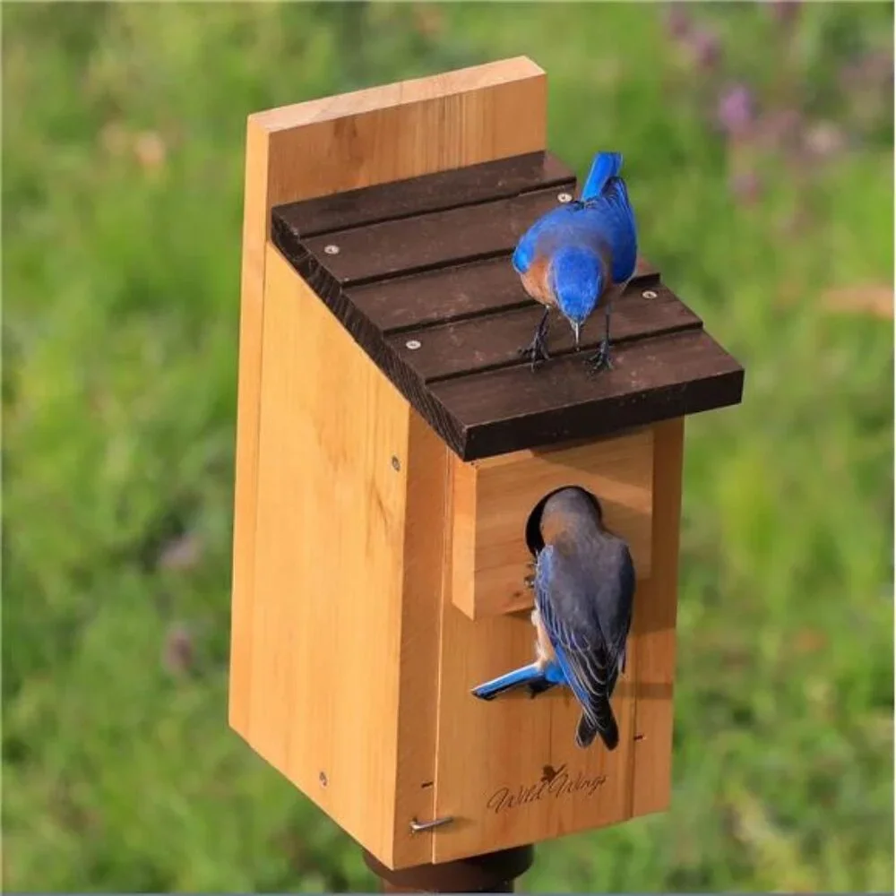 Cedar Blue Bird Box House